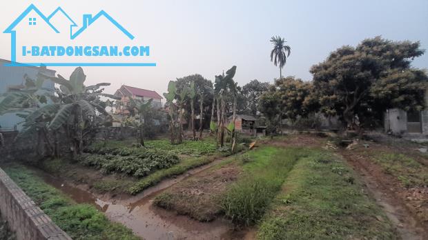 Bán gấp nhà Đặng Cương, An Hải, An Dương HP. 2,25 tỷ, 150m2. - 3