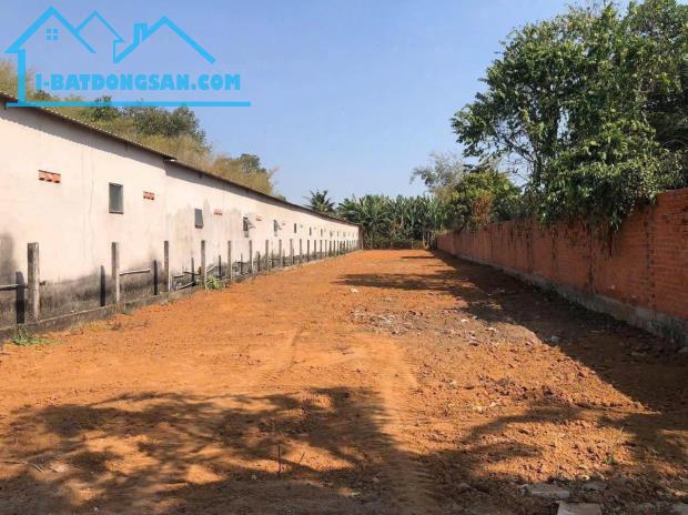 Bán đất mặt tiền đường số 9 gần ngay ngã tư ấp Phước Hữu - Long Phước, TP Bà Rịa - 1