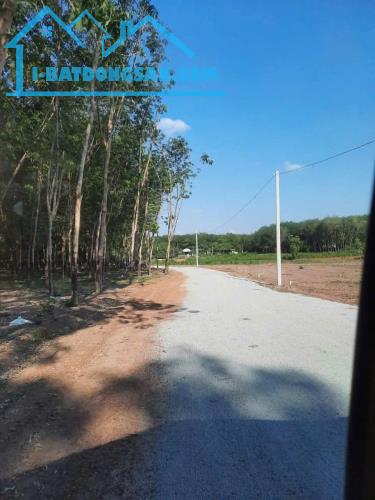 7370M2 ĐẤT Ở THỔ CƯ QUỐC LỘ 14 - HỚN QUẢN - BÌNH PHƯỚC - CHỈ 4.8 TỶ - SỔ ĐỎ - 3