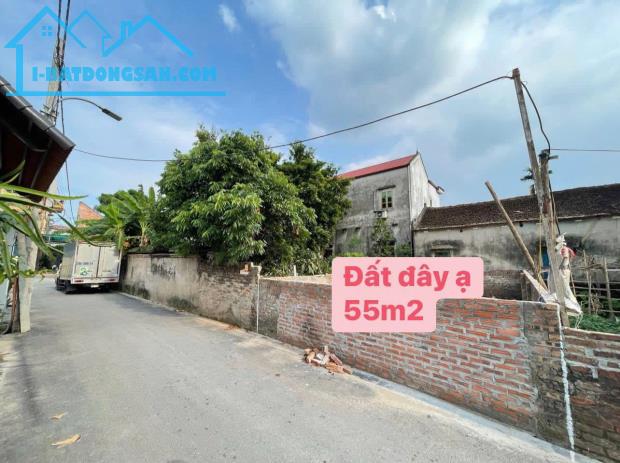 Cực Hot! 55M thổ cư Trục Chính đường nhựa Đông Anh - 4 tỷ - 1