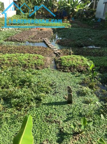 ĐẤT CHÍNH CHỦ- GIÁ TỐT cần bán gấp lô đất vị trí đẹp tại huyện Bình Chánh, TPHCM - 2