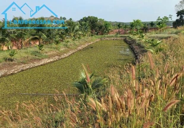 SỞ HỮU ĐẤT ĐẸP CHÍNH CHỦ  - Vị Trí Đẹp Thơ Mộng hồ Đá Bàng Tại : Đá Bạc  - Châu Đức - Bà - 1