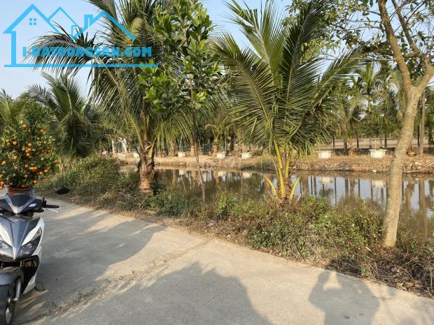 Cần Bán Đất Sổ Đỏ 400m2 Đội 6, xã Phú Hưng - Ý Yên - Nam Định - 1