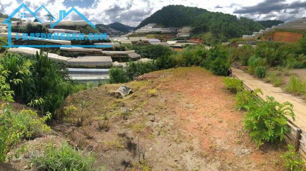 Chính chủ bán 3 lô đất đẹp tại Xuân Thọ, Đà Lạt view cao, khí hậu trong lành - 3