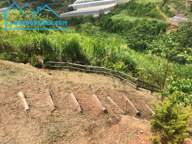 Chính chủ bán 3 lô đất đẹp tại Xuân Thọ, Đà Lạt view cao, khí hậu trong lành - 6