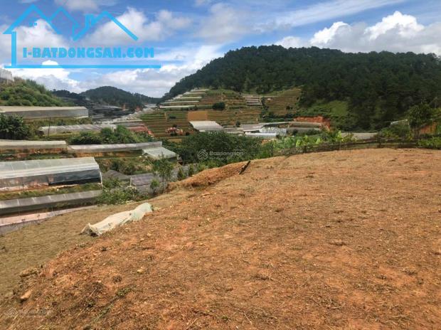 Chính chủ bán 3 lô đất đẹp tại Xuân Thọ, Đà Lạt view cao, khí hậu trong lành - 7