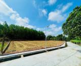 Bán Đất View Sông - Duy Châu - Duy Xuyên - Chỉ 400 triệu