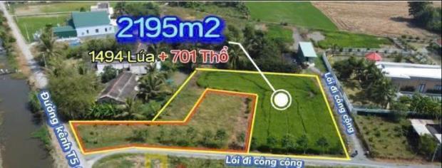 2400m2 đất 3 mặt tiền đường ( có 700m2 thổ) xã Tân Lân, Cần Đước Giá 4 tỷ