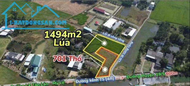 2400m2 đất 3 mặt tiền đường ( có 700m2 thổ) xã Tân Lân, Cần Đước Giá 4 tỷ - 2