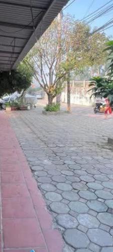 An Dương Vương 246m Đất mặt tiền 9m Tây Hồ - 1