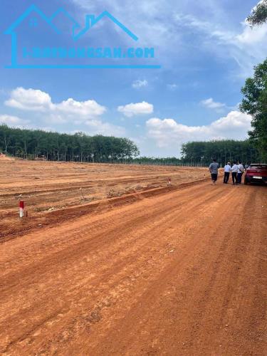 1000m2 ngang 32m gần KCN visip Tân Hòa Đồng Phú Bình Phước chỉ cần 200 triệu - 1