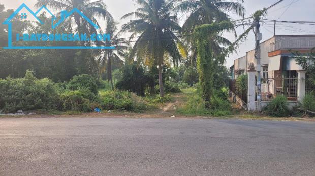 .CHÍNH CHỦ CẦN BÁN ĐẤT: 13000m2 - Xã Hòa Thành- tỉnh Tây Ninh - 2