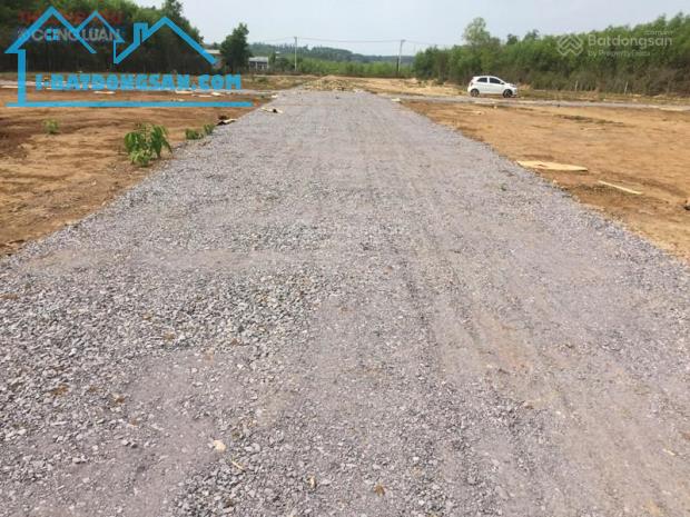 Bán khu mộ gia tộc sổ đỏ chính chủ tại Vĩnh An, Vĩnh Cửu, Đồng Nai có Sổ đỏ riêng - 5