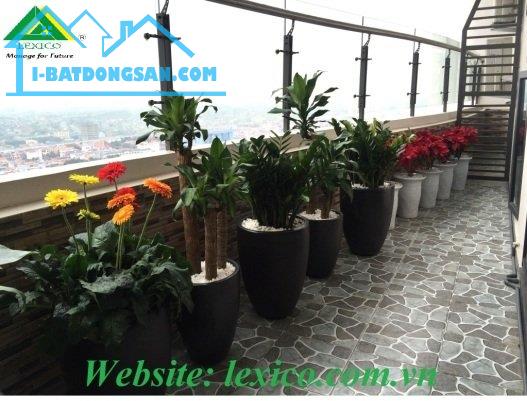 Cho thuê căn hộ cao cấp 02 Phòng ngủ tại TD Plaza Hải Phòng - 1