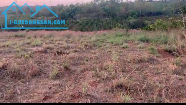 ĐẤT ĐẸP - ĐẦU TƯ SINH LỜI - CHÍNH CHỦ Cần Bán Nhanh Đất - 1