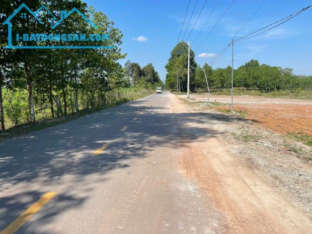 Cần bán gấp đất thổ cư đường DH 504, H. Phú Giáo, Bình Dương, 300m2, đường 32m