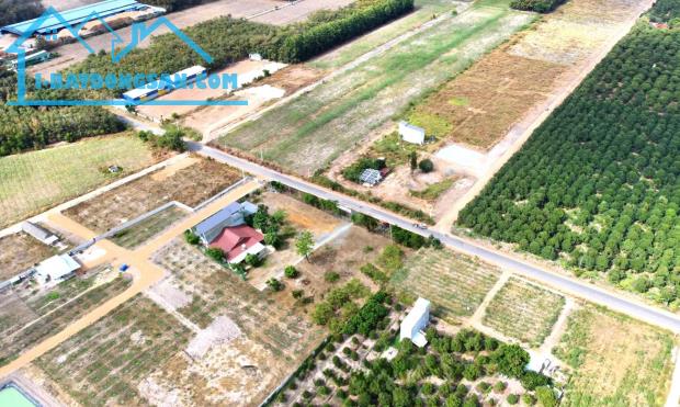 Bán 1.000m2 Đất Chơn Thành Mặt Tiền Quốc Lộ Cty Xí Nghiệp KCN Hiện Hữu 460tr