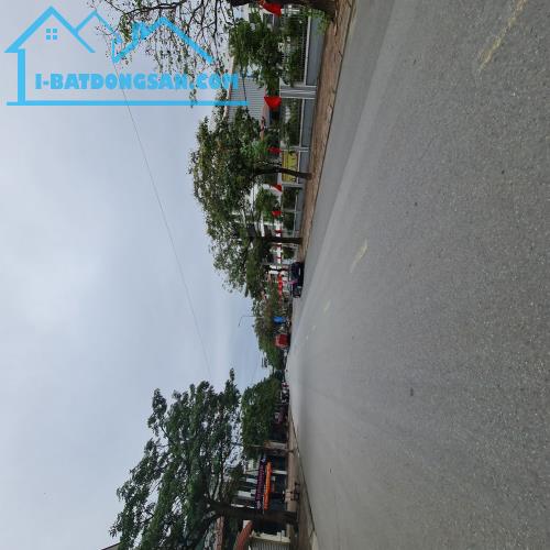 Biệt thự đơn lập 204m2 đường 16m tại Gia Lâm, Hà Nội.