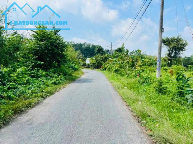 Bán Đất Mặt Tiền Nhựa Góc Rừng Xã An Nhơn Tây, Diện Tích 106m2, Sổ Hồng Riêng, Xây Dựng T - 1