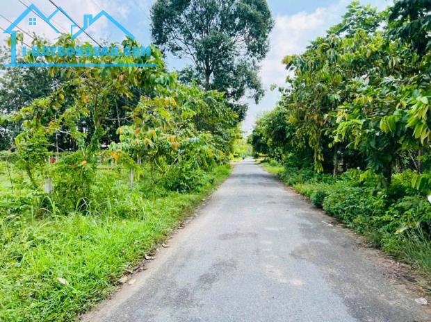 Bán Đất Mặt Tiền Nhựa Góc Rừng Xã An Nhơn Tây, Diện Tích 106m2, Sổ Hồng Riêng, Xây Dựng T - 2