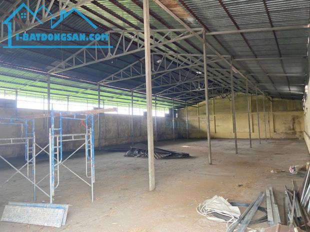 Đất tổng dt 5000m2 skc xã Tân Lập, huyện Tân Thạnh giá 19 tỷ - 2