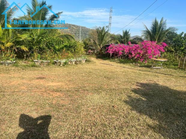 Bán 25 ha đất áp nhựa ĐT22 thích hợp làm trang trại, trồng dược liệu - 1