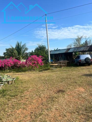 Bán 25 ha đất áp nhựa ĐT22 thích hợp làm trang trại, trồng dược liệu - 2