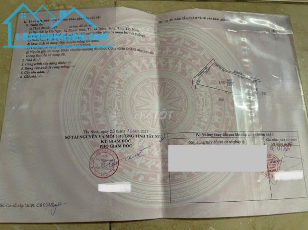 Cơ Hội Sở Hữu Đất Đẹp Tại Tây Ninh – Giá Chỉ 3.2 Tỷ!