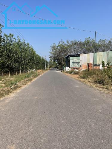 🏠 BÁN GẤP LÔ ĐẤT SỔ RIÊNG THỔ CƯ - MẶT TIỀN ĐƯỜNG NHỰA 🏠