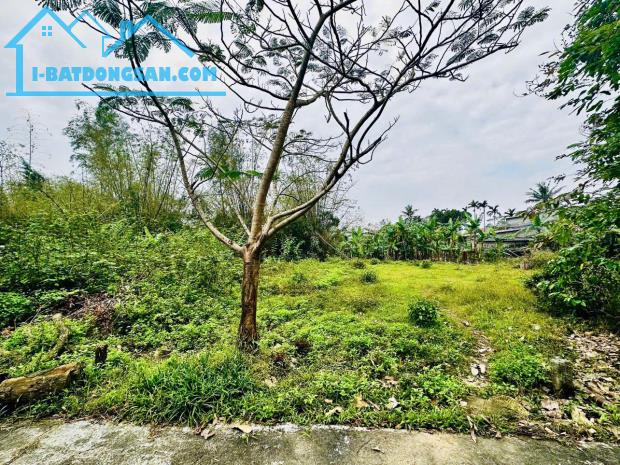 Đất Phú Hồ gần trường, gần chợ Diên Đại chỉ 630tr - 3