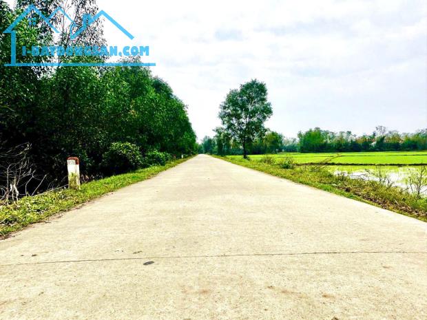 Đất Phú Hồ gần trường, gần chợ Diên Đại chỉ 630tr - 4