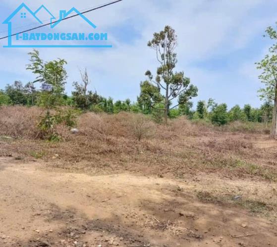 Ta Ra Hòa Đông - Krông Pắc vị trí siêu đắc địa giá cực mền