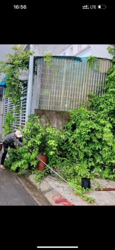Bán đất Hải Thành 2 - Dương Kinh - Hải Phòng - 3