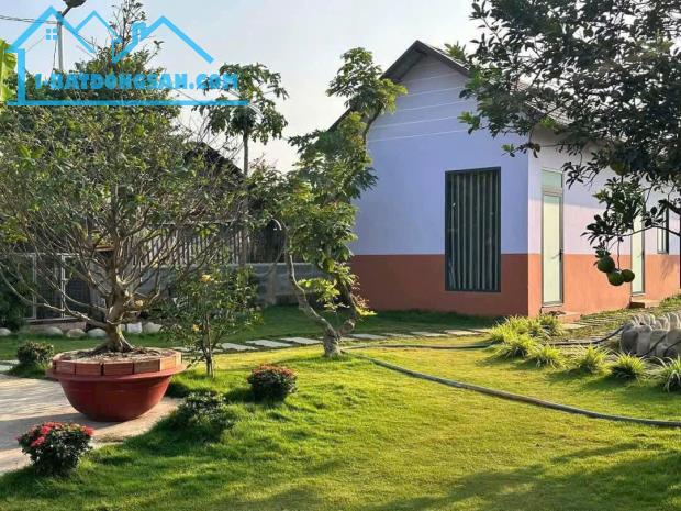 Bán nhà vườn nghỉ dưỡng làng bưởi Tân Bình, Vĩnh Cữu.1800m sổ thổ cư đường oto. Giá 13,5ty