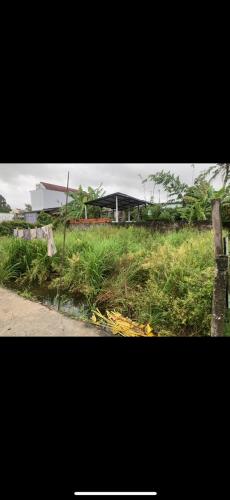 Chính Chủ Cần Bán Gấp Đất Tại Hẻm 89 Nguyễn Thông, P. An Thới, Ninh Kiều, Cần Thơ - 3