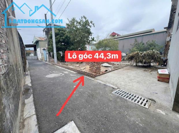 NHỈNH 3 TỶ CÓ NGAY HƠN 40M ĐÔNG ANH - ĐÓN SÓNG DỰ ÁN KĐT CỦA VIN - 2