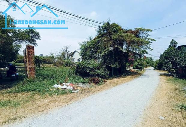 đất ở hiện hữu diện tích 3136m2 chủ ngộp cần bán gấp - 2