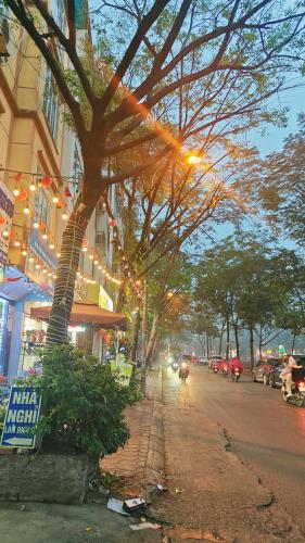 Bán đát tặng nhà Vũ Tông Phan 45m 2 giá hơn 8 tỷ - 5