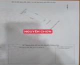 BÁN ĐẤT MT ĐƯỜNG NGUYỄN CHƠN-HOÀ MINH, LIÊN CHIỂU
