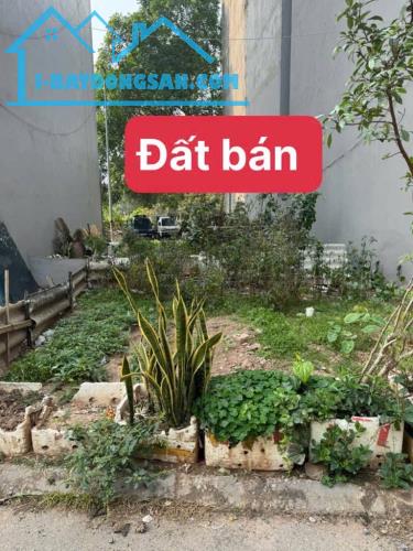 Đất vuông vắn đẹp dòng tiền ổn định ở sướng lắm ý - 2