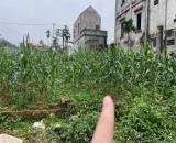 Đất Đẹp - Giá Tốt - Chính Chủ Cần Bán 2 Lô Đất liền kề vị trí đẹp tại huyện Ba Vì, TP Hà