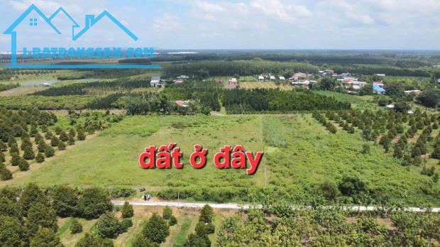 Chính chủ gửi bán lô đất ngay sát KCN Phước Đông - 5.539m2 - 52x100m. Giá chỉ 6. X tỷ, TC - 1