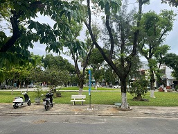 Mình chính chủ cần bán nhà cấp 4 mặt tiền đường Trần Kim Bảng số nhà 42, Khuê Trung, Cẩm - 3