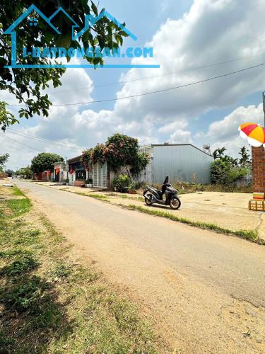 📣Bán #Đất Mặt tiền A6 Phạm Ngũ Lão Buôn Ma Thuột 10x30m_ #5tỷ620tr 🚗đường nhựa ô tô tải - 1