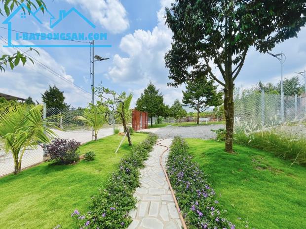 Cần bán Đất Xã N Thol Hạ Đức Trọng Diện tích 996m² Giá 3200 Triệu - 1