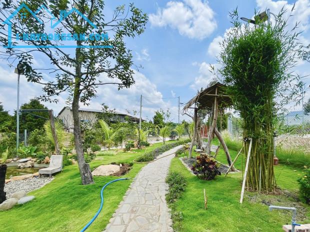 Cần bán Đất Xã N Thol Hạ Đức Trọng Diện tích 996m² Giá 3200 Triệu