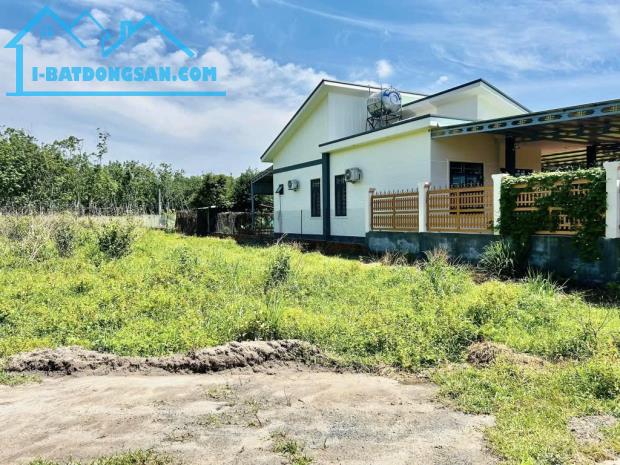 MẢNH ĐẤT 3 SHR - 3.450M², MẶT TIỀN ĐƯỜNG SỐ 7 – GẦN CAO TỐC & KCN – CHỈ 35TR/M² - 1