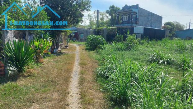 Đất thổ cư ấp 6 Tân Thạnh Đông DT 12x22 đường ô tô - 1