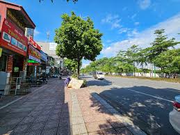 Bán đất tặng nhà phân lô Ngô Gia Tự,vỉa hè,3 ô tô tránh.50M,MT 4M,KD đỉnh.Hơn 11 tỷ