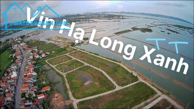 Bán đất Quảng Yên, Hoàng Tân, Tân An, Hà An, sổ đỏ, thổ cư, rất rẻ - 2